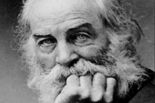 [eternamente oltre] (Walt Whitman)