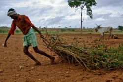 Agricoltura industriale e crisi idrica