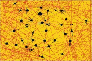 Connessioni (Fausto Ferrari)